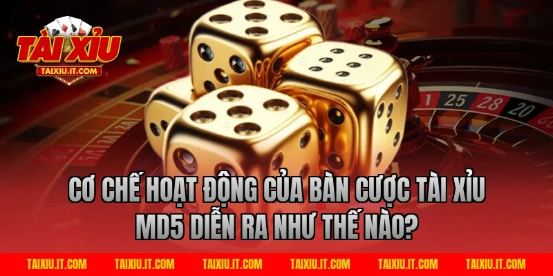Cơ Chế Hoạt Động Của Bàn Cược Tài xỉu md5 Diễn Ra Như Thế Nào?