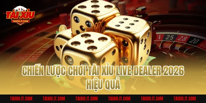 Chiến Lược Chơi Tài Xỉu Live Dealer 2026 Hiệu Quả
