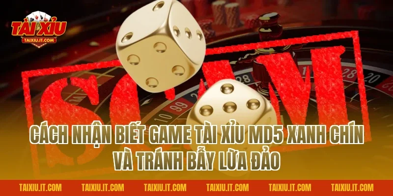 Cách Nhận Biết Game Tài Xỉu MD5 Xanh Chín Và Tránh Bẫy Lừa Đảo